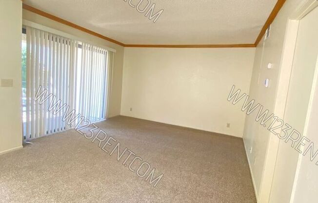 2554 Olive Dr;