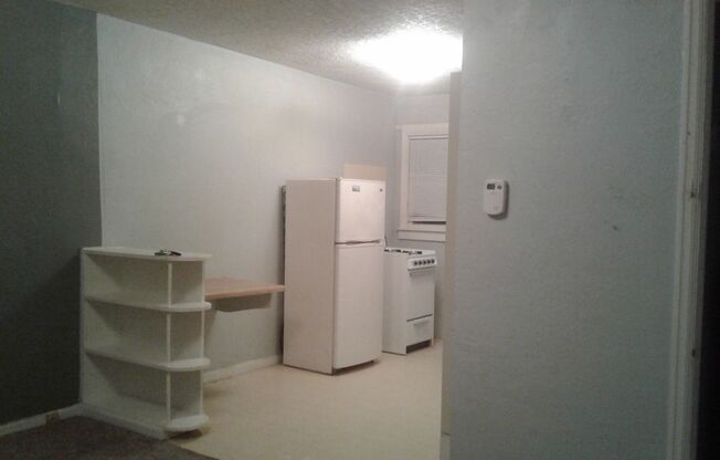 Studio, 1 bath, $485, Unit 13