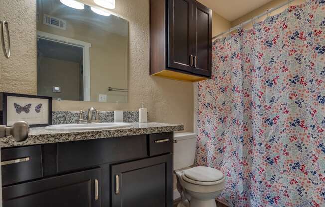 a bathroom with a toilet sink mirror and shower curtain