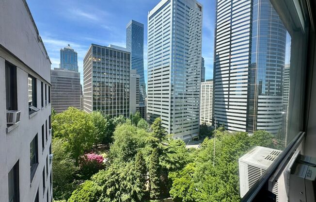 Studio, 1 bath, 527 sqft, $1,650, Unit 1018