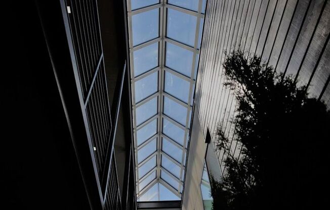 1 bed, 1 bath, 437 sqft, $1,610, Unit 507