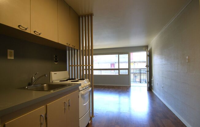 1 bed, 1 bath, 393 sqft, $1,195, Unit 215