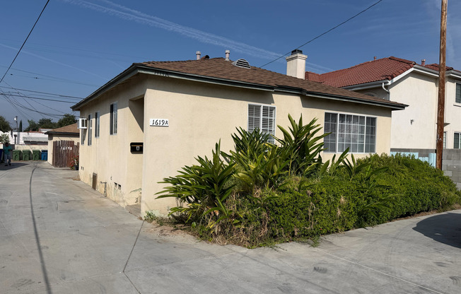 Jaguar Chan - R729-1617