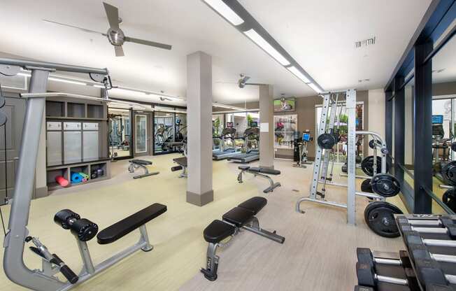 State Of The Art Fitness Center| Rialto