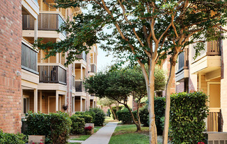 Brandon Oaks Apartment Homes