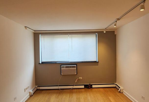 Studio, 1 bath, 350 sqft, $1,250, Unit 105
