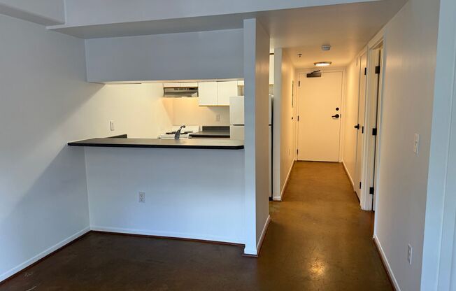 Studio, 1 bath, 400 sqft, $1,200, Unit 305