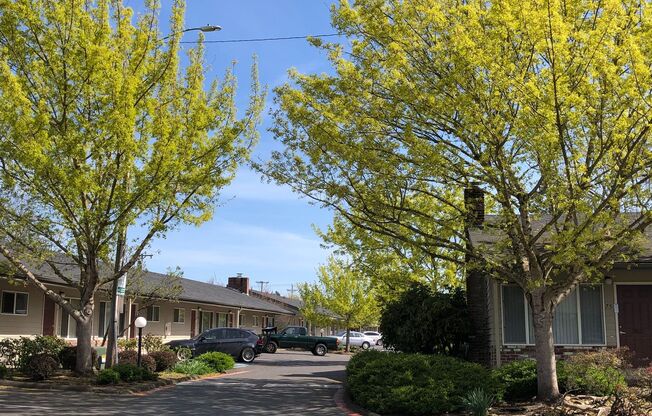 2 beds, 1 bath, 845 sqft, $1,625, Unit 42