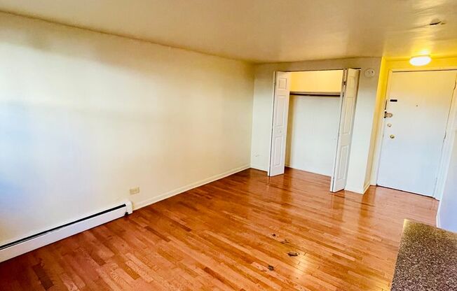 Studio, 1 bath, 450 sqft, $1,295, Unit 535-150