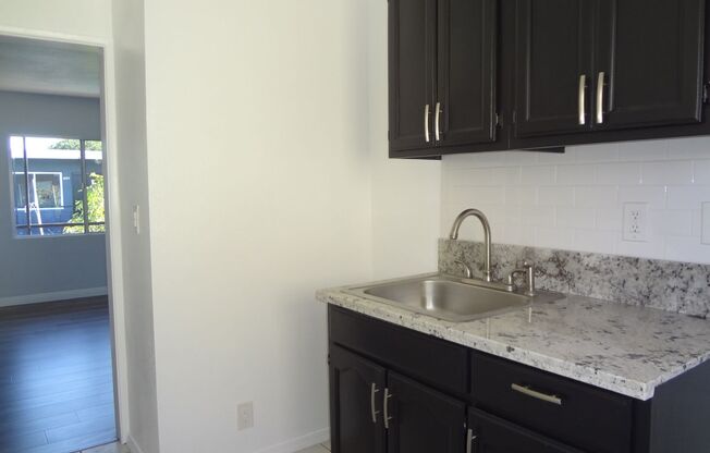 Studio, 1 bath, 318 sqft, $1,350, Unit 213