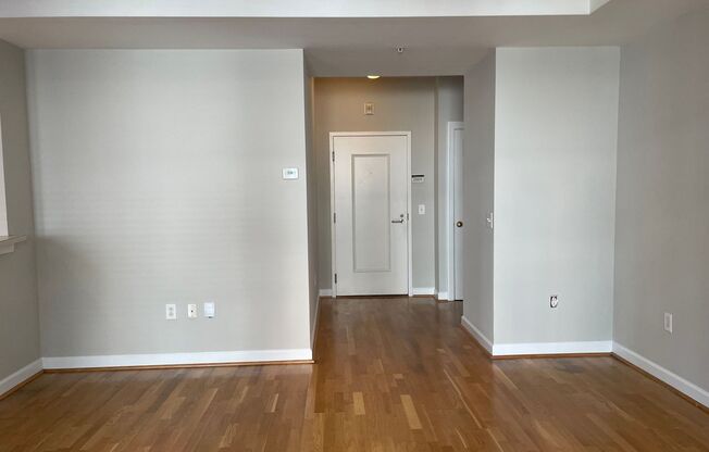 1 bed, 1 bath, $1,600