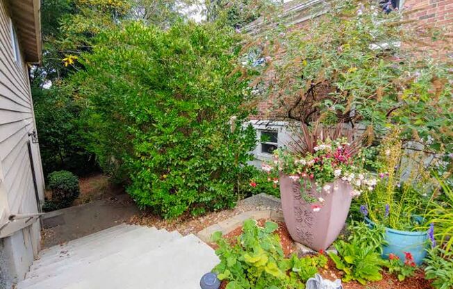 Adorable Maple Leaf ADU with Private Entrance- 2 Bedroom\1 Bathroom