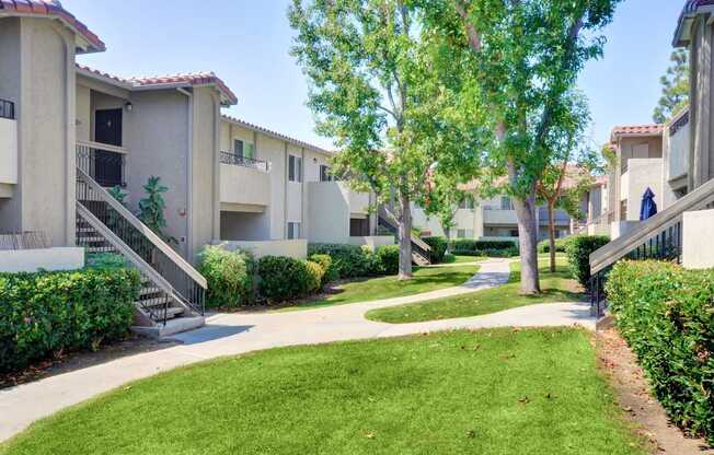 A row of apartment buildings with a tree in the foreground.