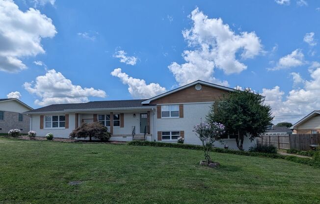 NICE SPACIOUS House in Holly Hills