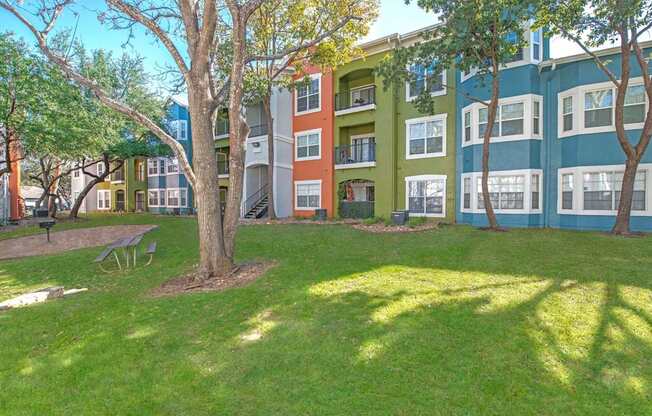 A tree in a grassy area in front of a building at Reserve at Canyon Creek,San Antonio,TX