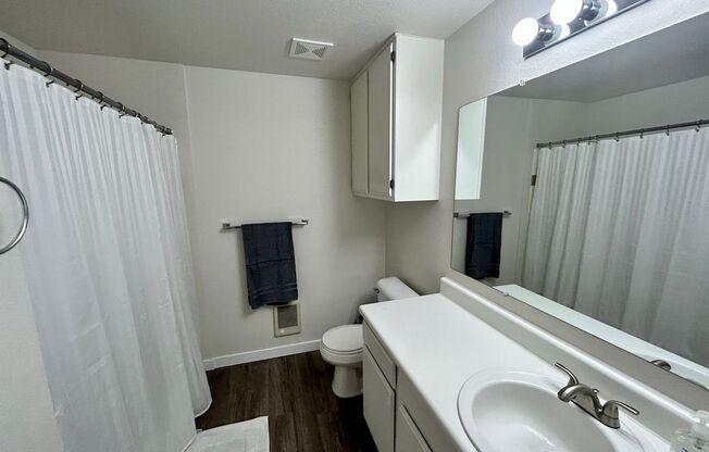 1 bed, 1 bath, 720 sqft, $1,895, Unit 16108