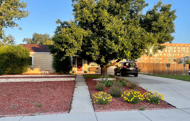 University Hills Charming Updated House 3 Bedrooms 1 Bath w/ Large Yard, Solar Panels & More