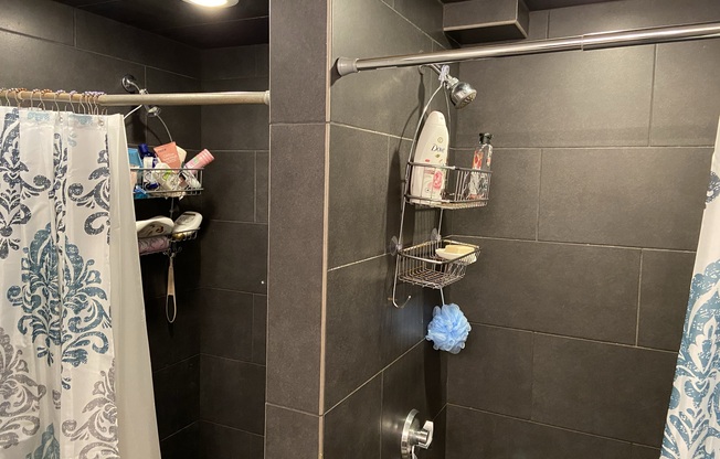 4 beds, 1 bath, $6,600, Unit 1