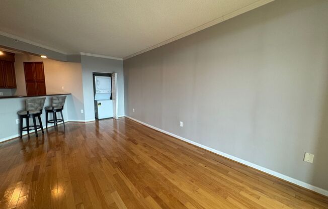 Bright 1 Bed 1 Bath Condo With Sunroom In Vibrant Northampton Place