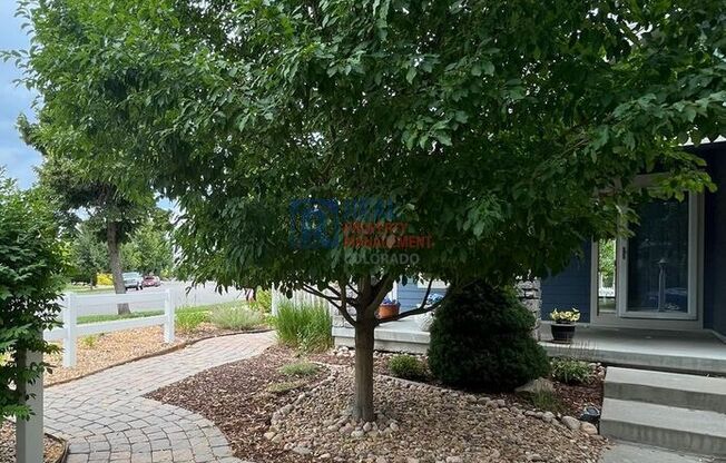 1996 WINDOM PL