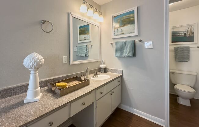 a bathroom with a sink and a mirror and a toilet