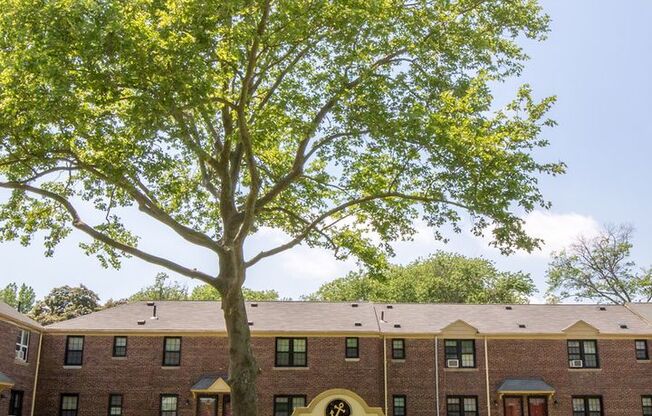 1 bed, 1 bath, 650 sqft, $1,195, Unit 11-1652