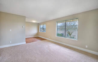 A room with a carpeted floor and a window showing a tree outside.