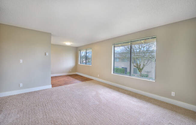 A room with a carpeted floor and a window showing a tree outside.