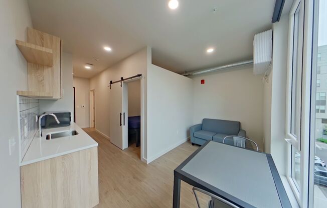 Studio, 1 bath, 314 sqft, $1,250, Unit 313