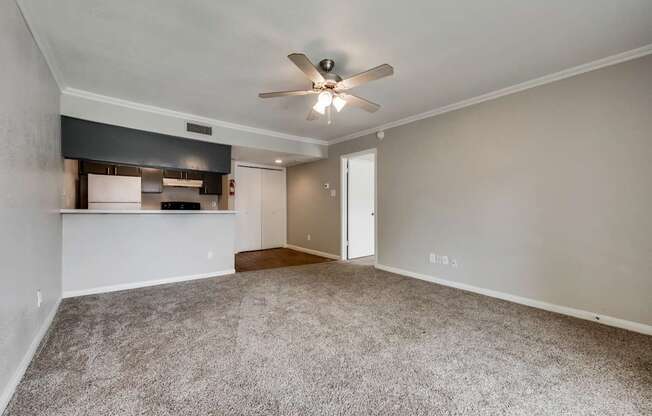 A room with a ceiling fan and carpeted floor.