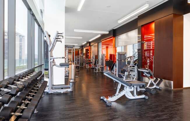 a gym with weights and cardio machines and large windows