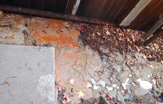 1 bed, 1 bath, 625 sqft, $1,950, Unit 111