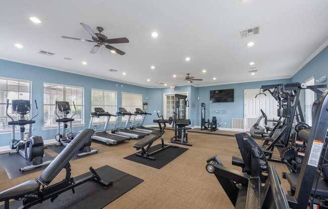 the gym has plenty of cardio equipment and treadmills