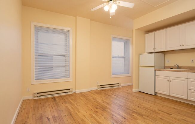Studio, 1 bath, 245 sqft, $925, Unit 308