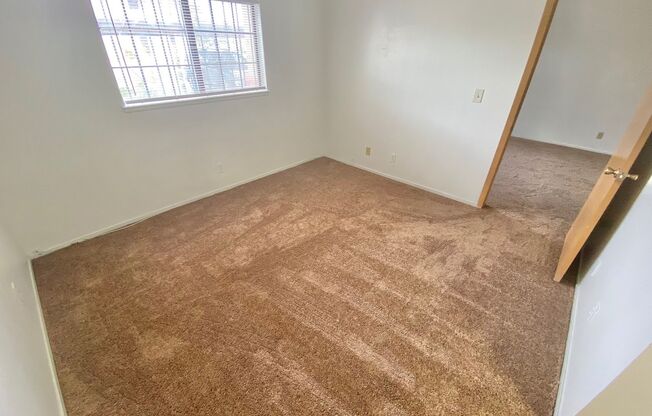 1 bed, 1 bath, $1,000