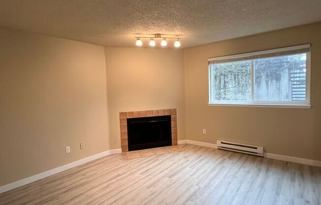 Mountain View Apartment