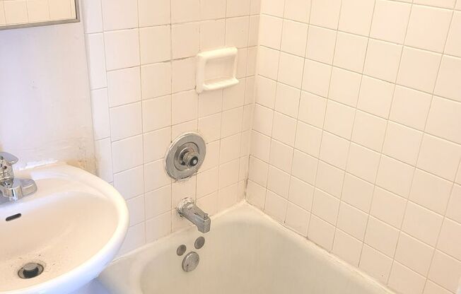 Studio, 1 bath, $825, Unit 413