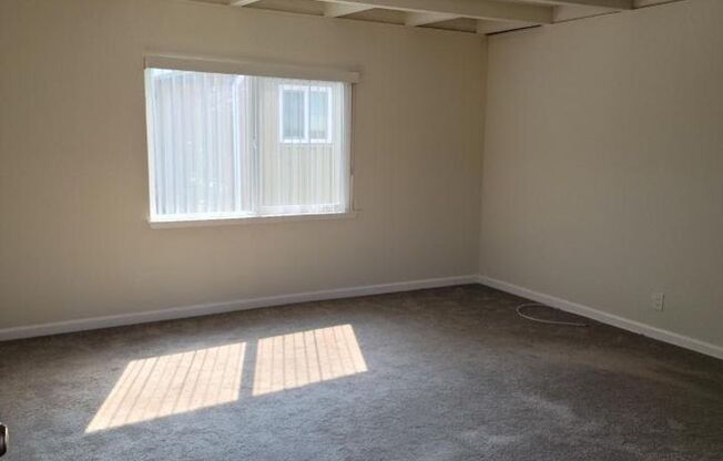 G3 | 50 E. 39th Avenue