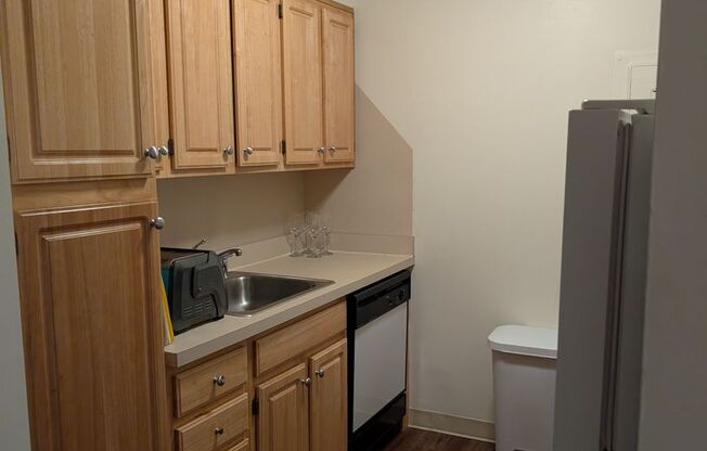 1 bed, 1 bath, 570 sqft, $2,900, Unit 502