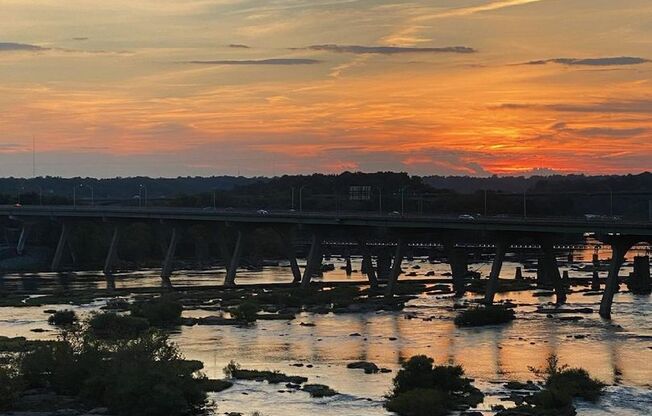 1 bed, 1 bath, $1,600