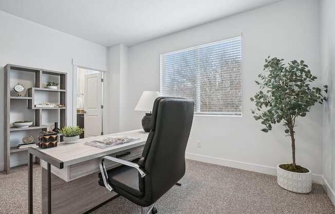 A black office chair is in front of a desk with a lamp and a plant.