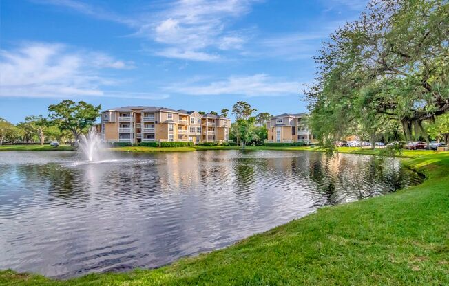 1 bed, 1 bath, $1,595, Unit UNIT 803