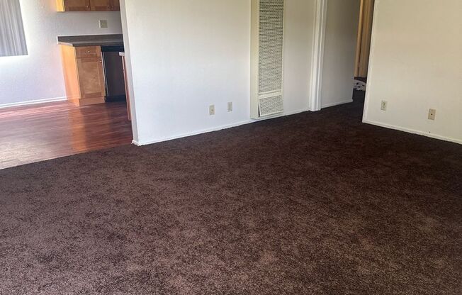 Cedar Villa Apartments (CV #705)