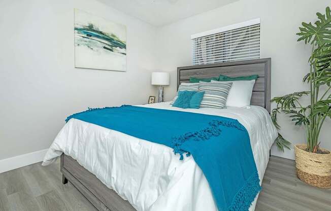A bed with a white sheet and a blue blanket is in the foreground of a room with a plant on the side.