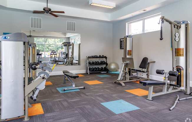 A gym with a variety of equipment including weights and a bench.