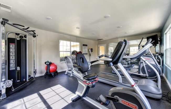 Fitness center with treadmill, cardio machines, and weights systems