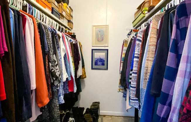 Maple Park 2 Bedroom Walk-In Closet