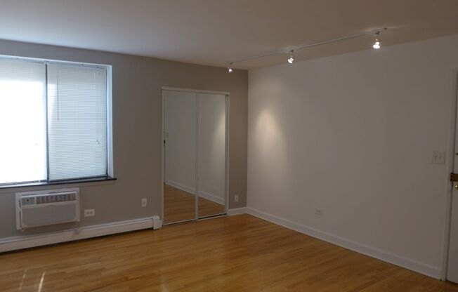 Studio, 1 bath, 305 sqft, $1,295, Unit 410