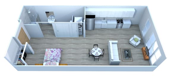 Studio, 1 bath, 555 sqft, $2,007