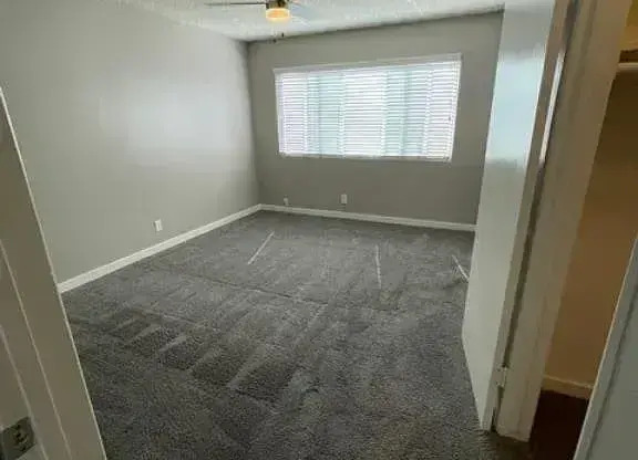 291 AVOCADO ST